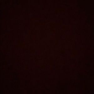 Meet your Posher, Ray